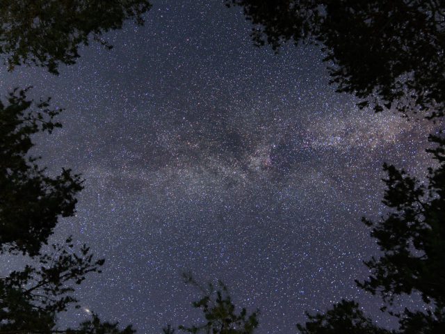 photo of the night sky