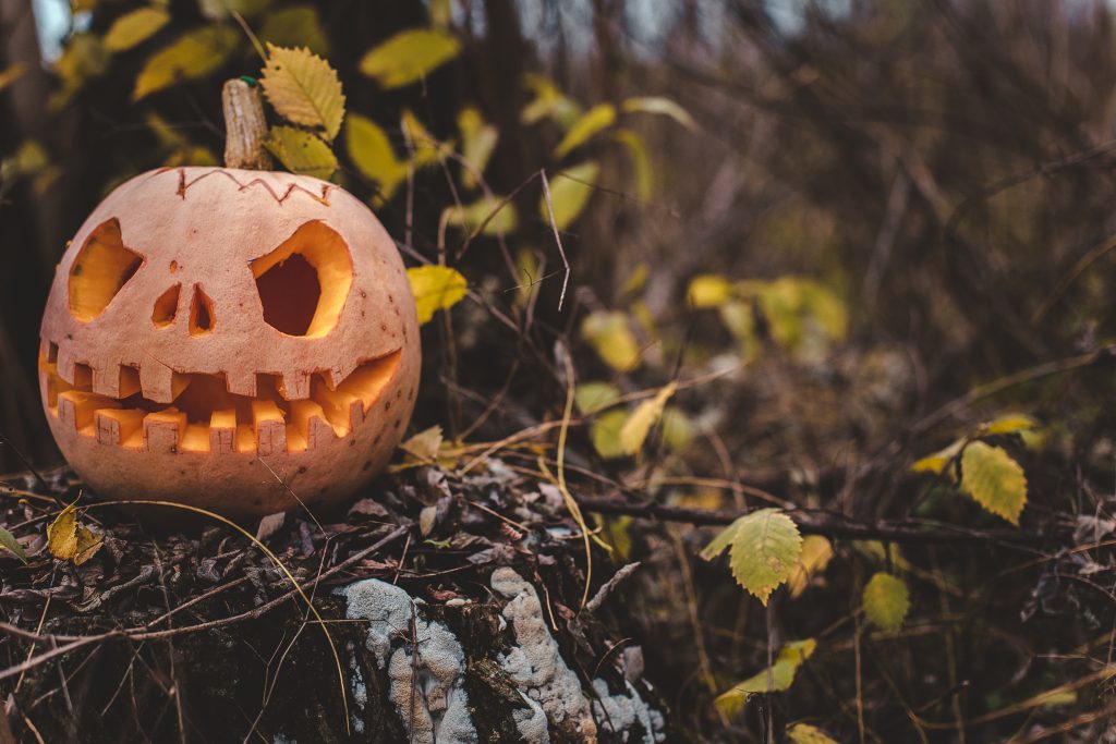 photo of Jack o lantern in forest