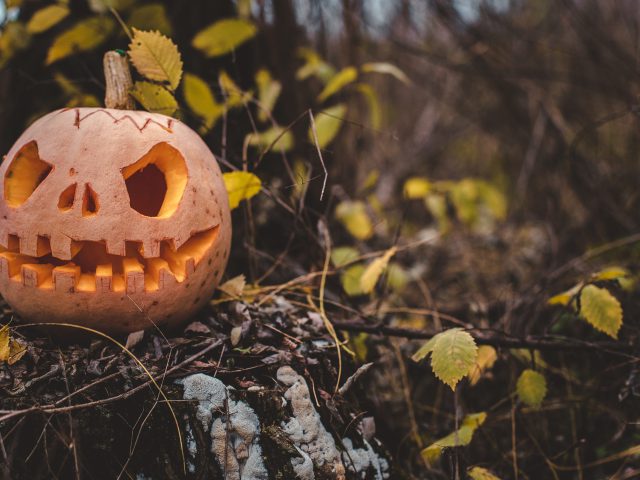 Pumpkin with carved eyes and mouth on the stump. Decor for Halloween. Scary forest. photo of Jack o lantern in forest