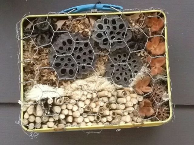 Screenshot_20241027-081219 Screenshot_20241027-081219