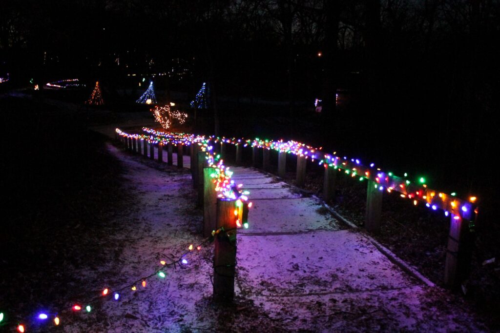 photo of holiday lights on a forest trail at irons oaks