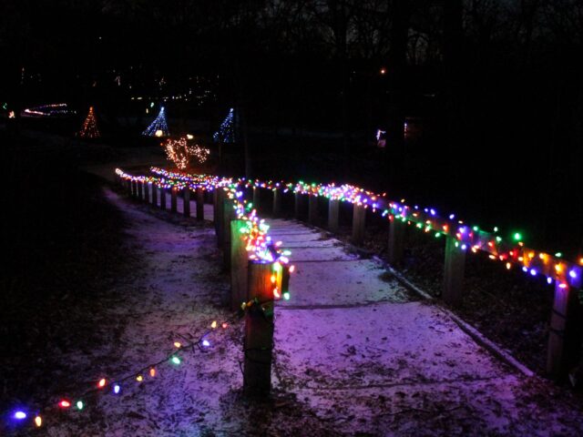 IMG_7135 photo of holiday lights on a forest trail at irons oaks
