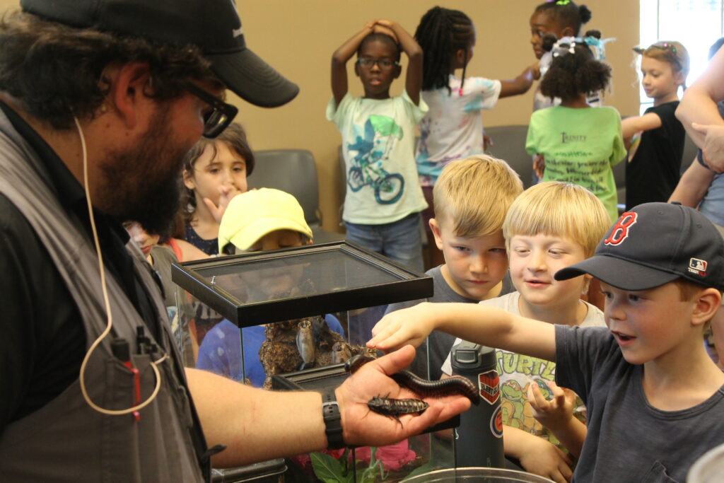 photo of a child petting a cockroach