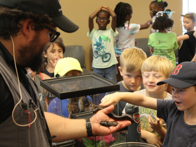 photo of a child petting a cockroach